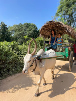 /album/fotogaleria-kombo-sri-lanka-a-maldivy1/kombi-zajazd-sri-lanka-a-maldivy-58-jpg1/